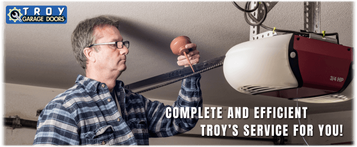 Garage Door Maintenance Troy